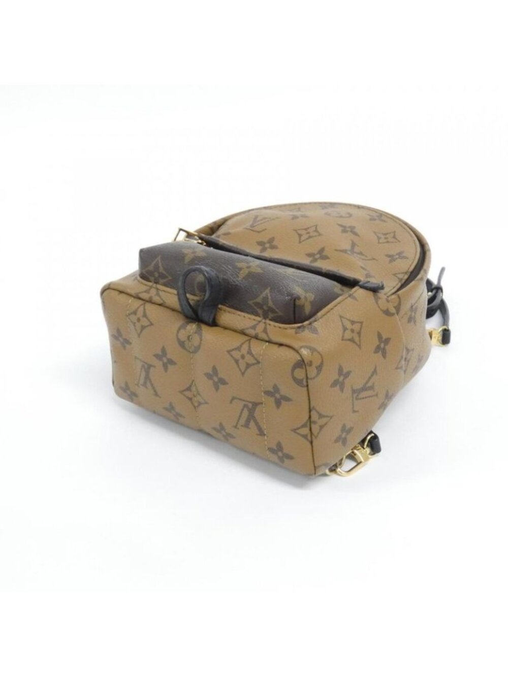 Louis Vuitton Monogram Reverse Palm Spring Backpack Mini Sac - Picture 3 of 10